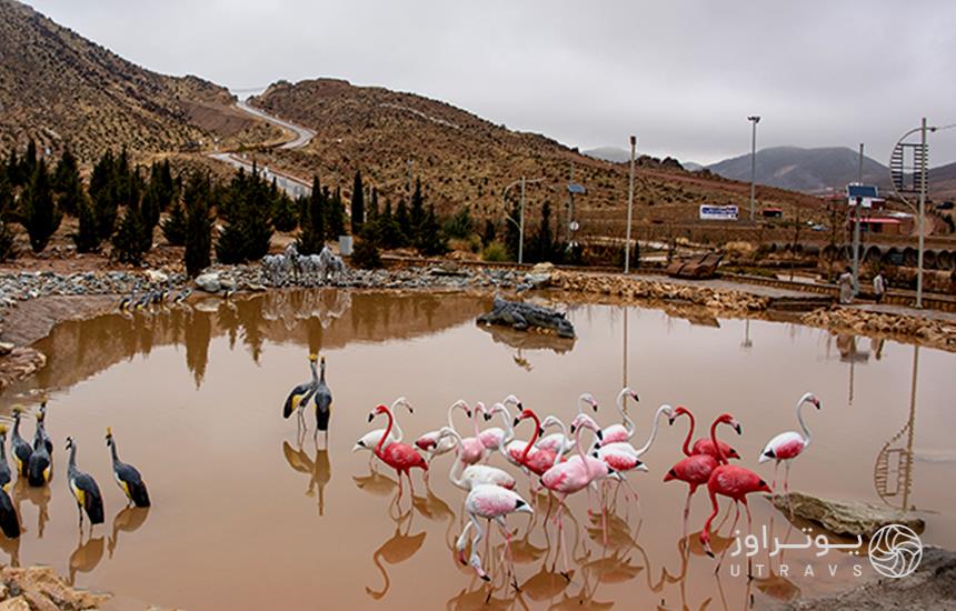 مجسمه پرندگان پارک دراک شیراز